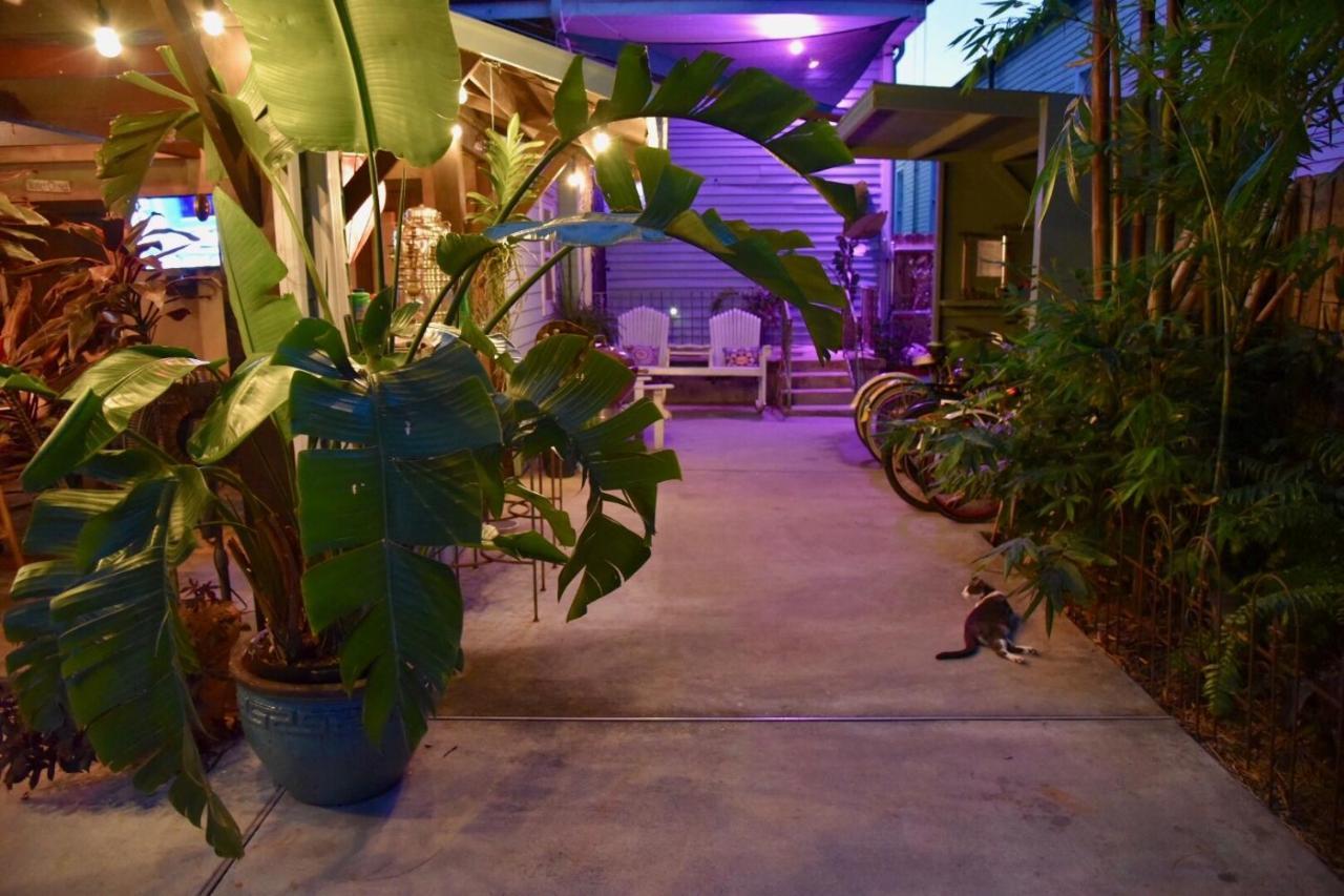 The Dragonfly Treme Guest House New Orleans Luaran gambar