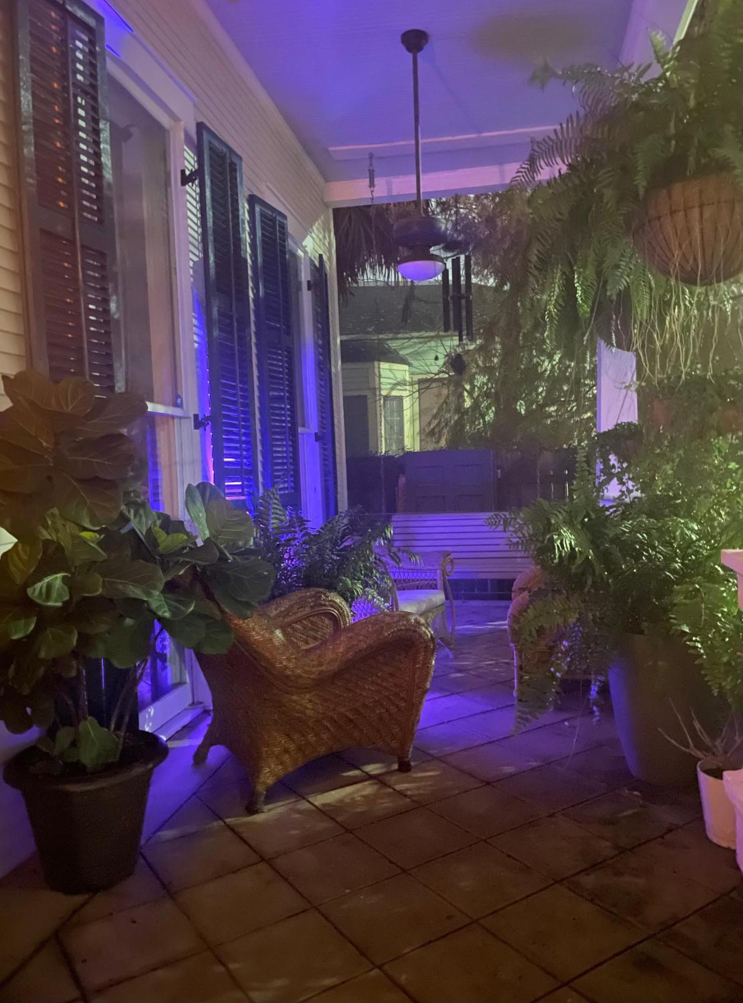 The Dragonfly Treme Guest House New Orleans Luaran gambar