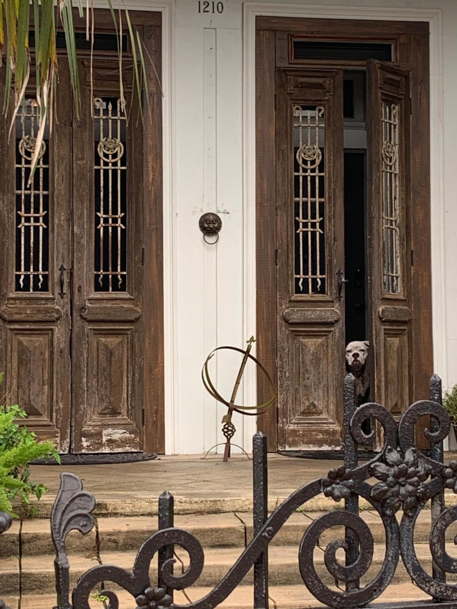 The Dragonfly Treme Guest House New Orleans Luaran gambar