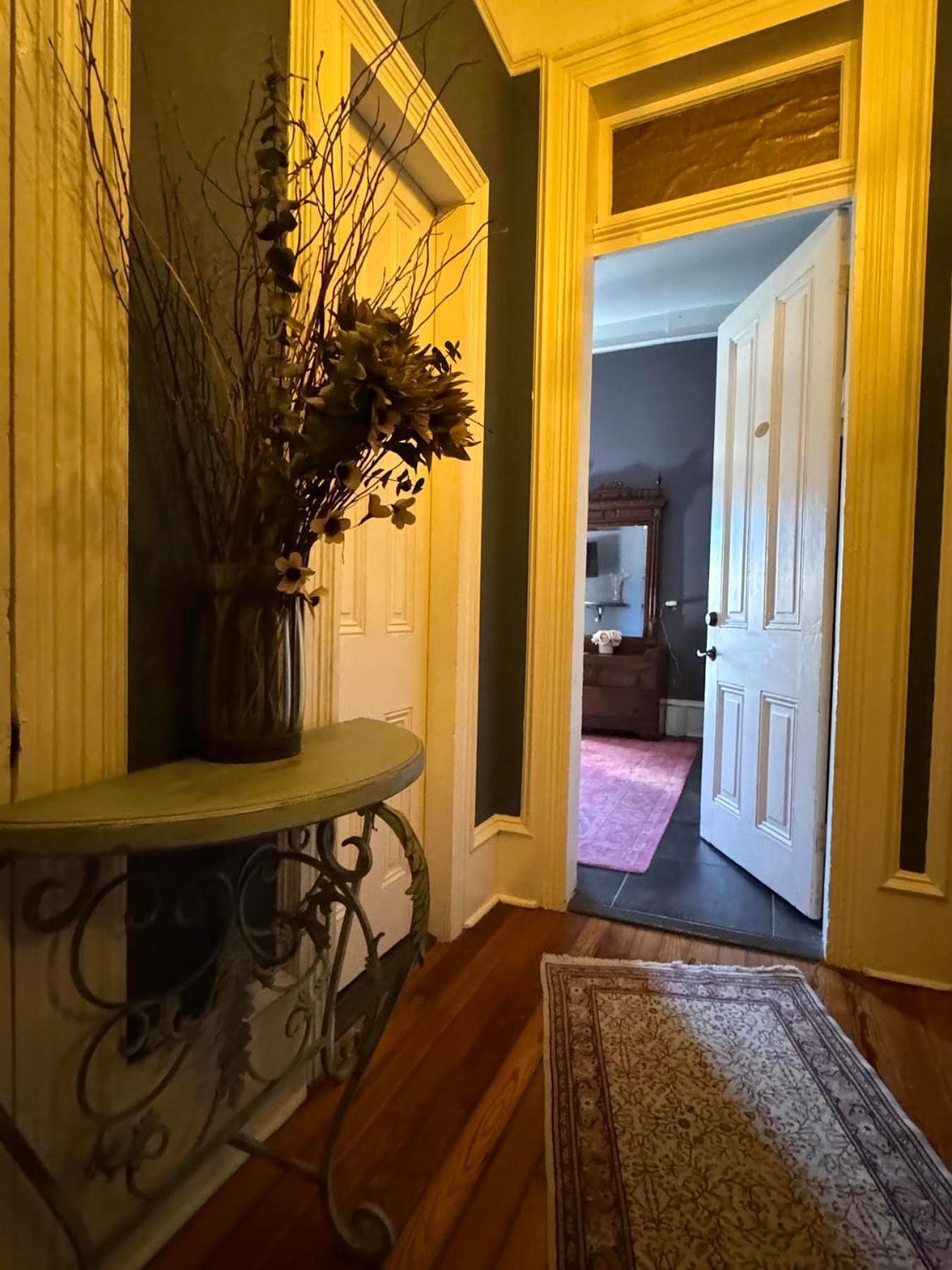 The Dragonfly Treme Guest House New Orleans Luaran gambar