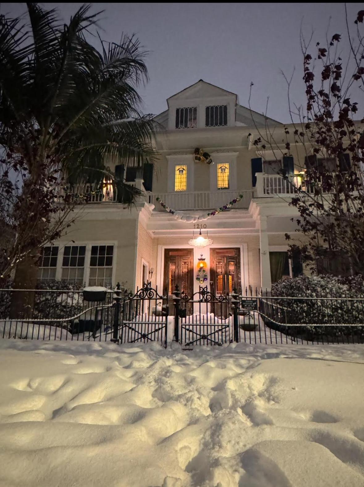 The Dragonfly Treme Guest House New Orleans Luaran gambar